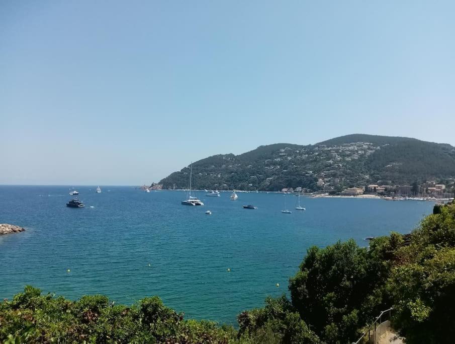 2 Pieces Climatise A 200M Des Plages テウル・シュル・メール エクステリア 写真